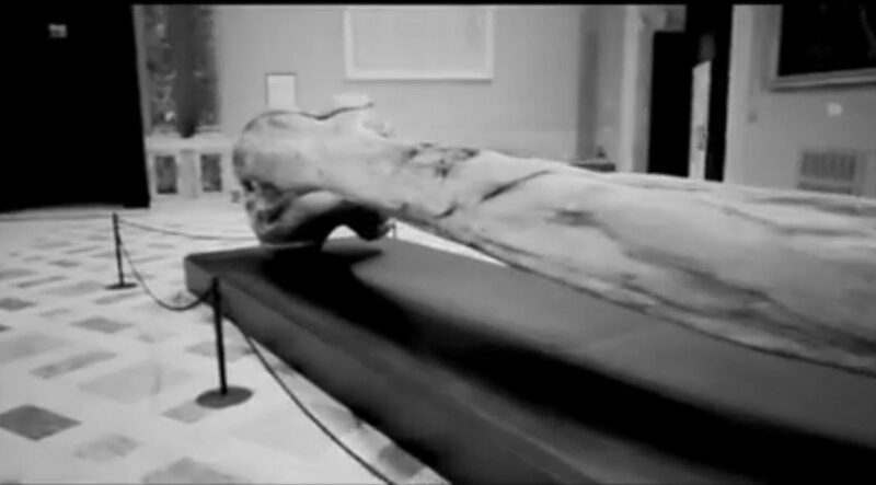 Lo scheletro di un gigante alto circa 24 metri fu scoperto a Napoli nel 1938.